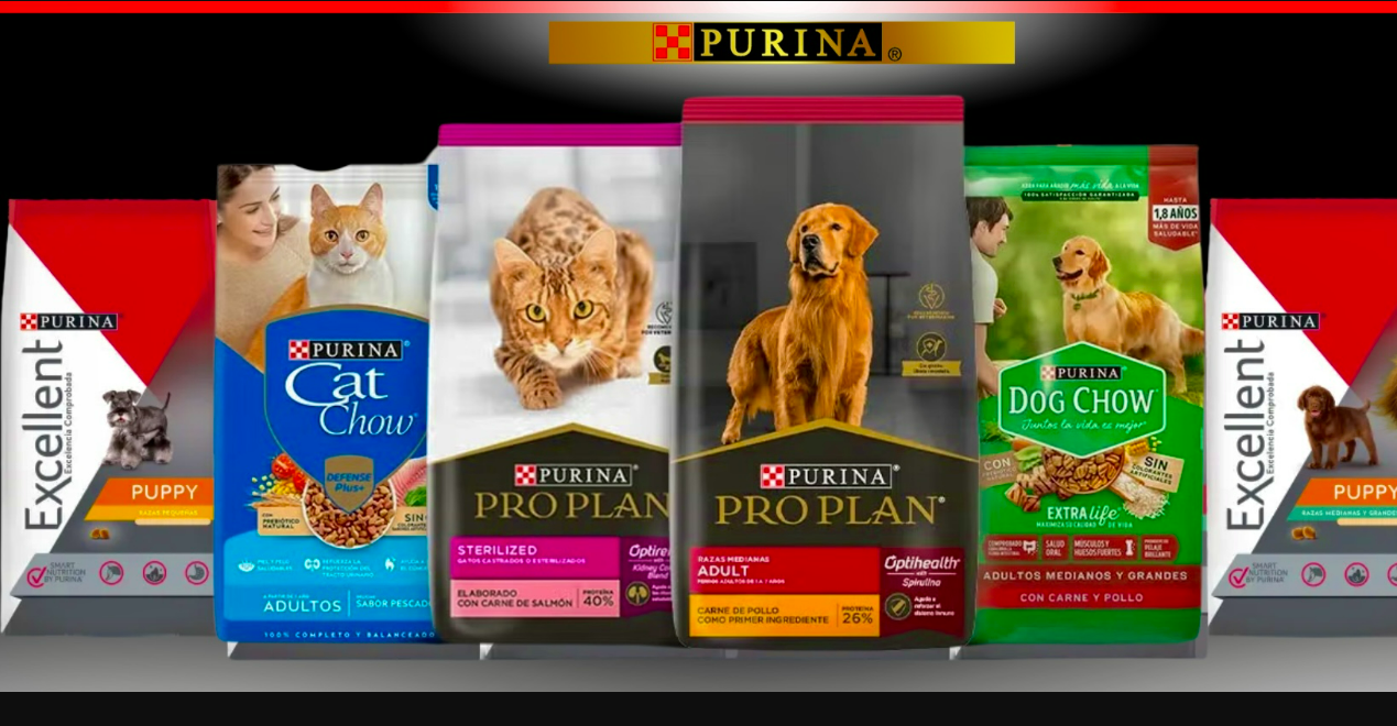 purina bogota mascotas